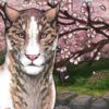 [OLD] Cherry Blossom Tree Branches